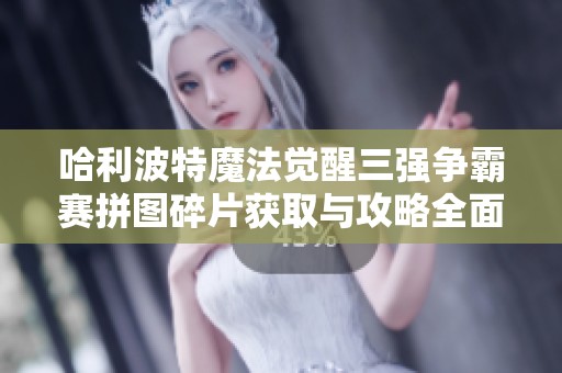 哈利波特魔法觉醒三强争霸赛拼图碎片获取与攻略全面指导