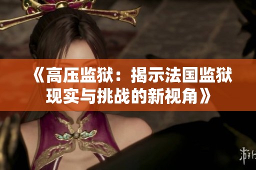 《高压监狱：揭示法国监狱现实与挑战的新视角》