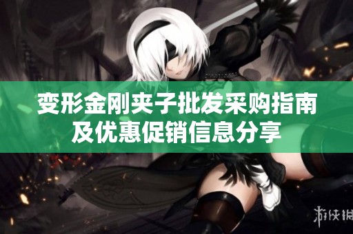 变形金刚夹子批发采购指南及优惠促销信息分享