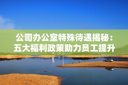 公司办公室特殊待遇揭秘：五大福利政策助力员工提升幸福感