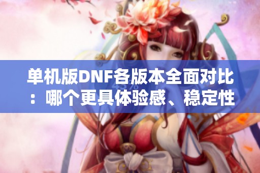单机版DNF各版本全面对比：哪个更具体验感、稳定性以及尝试价值？