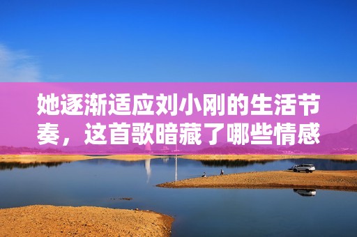 她逐渐适应刘小刚的生活节奏，这首歌暗藏了哪些情感故事