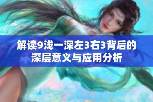 解读9浅一深左3右3背后的深层意义与应用分析