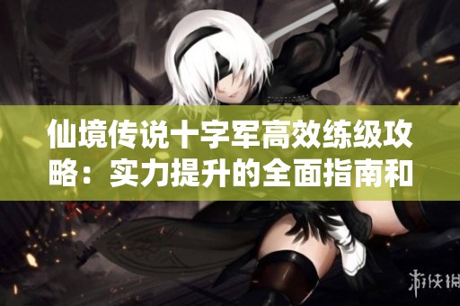 仙境传说十字军高效练级攻略：实力提升的全面指南和技巧揭秘