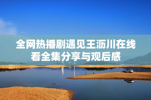 全网热播剧遇见王沥川在线看全集分享与观后感