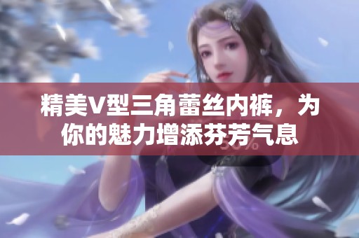 精美V型三角蕾丝内裤，为你的魅力增添芬芳气息