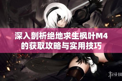 深入剖析绝地求生枫叶M4的获取攻略与实用技巧