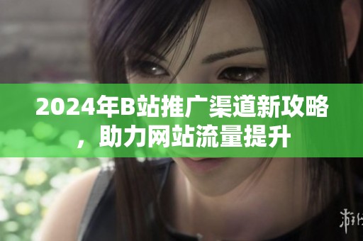 2024年B站推广渠道新攻略，助力网站流量提升