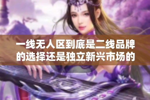 一线无人区到底是二线品牌的选择还是独立新兴市场的代表