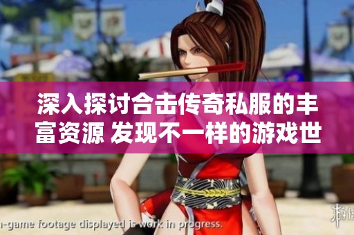 深入探讨合击传奇私服的丰富资源 发现不一样的游戏世界