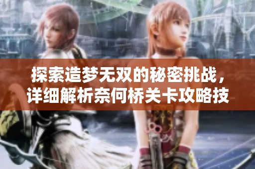 探索造梦无双的秘密挑战，详细解析奈何桥关卡攻略技巧