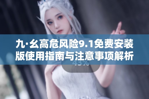 九·幺高危风险9.1免费安装版使用指南与注意事项解析