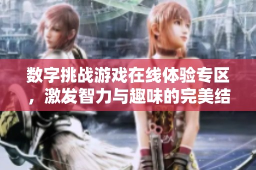 数字挑战游戏在线体验专区，激发智力与趣味的完美结合