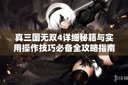 真三国无双4详细秘籍与实用操作技巧必备全攻略指南