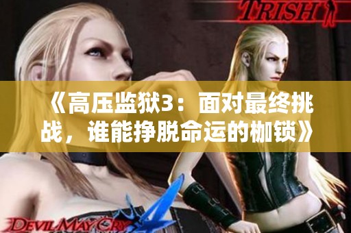 《高压监狱3：面对最终挑战，谁能挣脱命运的枷锁》