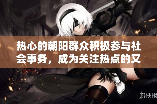 热心的朝阳群众积极参与社会事务，成为关注热点的又一力量