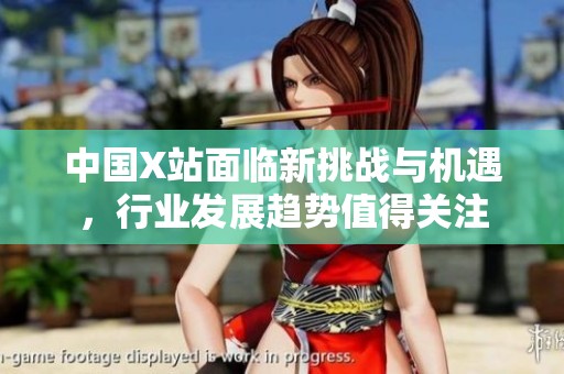 中国X站面临新挑战与机遇，行业发展趋势值得关注