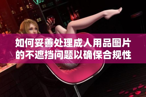 如何妥善处理成人用品图片的不遮挡问题以确保合规性与安全性