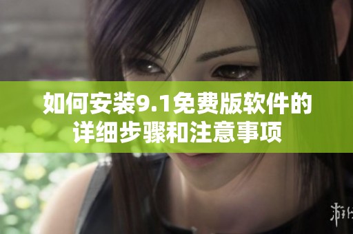 如何安装9.1免费版软件的详细步骤和注意事项