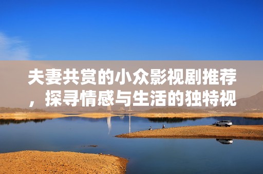 夫妻共赏的小众影视剧推荐，探寻情感与生活的独特视角与深度故事