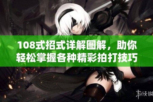 108式招式详解图解，助你轻松掌握各种精彩拍打技巧