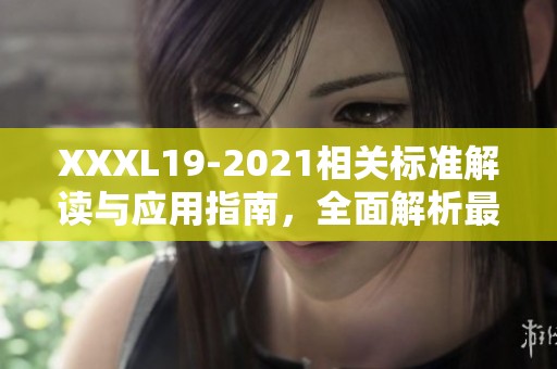 XXXL19-2021相关标准解读与应用指南，全面解析最新政策与实施细则