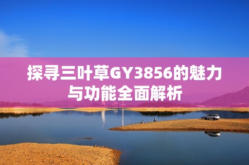 探寻三叶草GY3856的魅力与功能全面解析