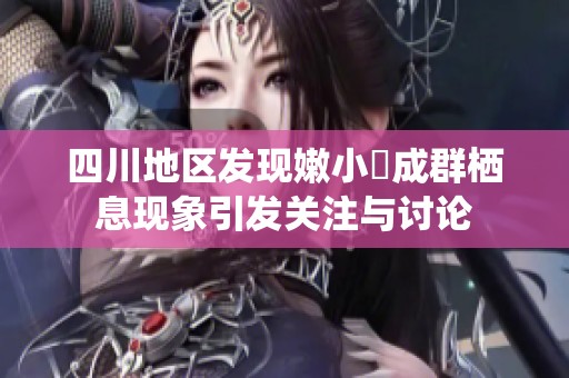 四川地区发现嫩小槡成群栖息现象引发关注与讨论