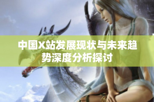 中国X站发展现状与未来趋势深度分析探讨