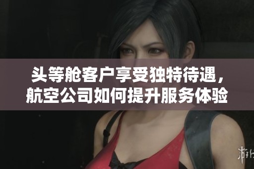 头等舱客户享受独特待遇，航空公司如何提升服务体验解析