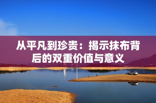 从平凡到珍贵：揭示抹布背后的双重价值与意义