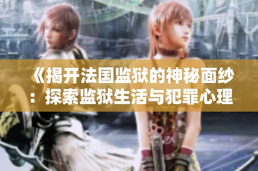 《揭开法国监狱的神秘面纱：探索监狱生活与犯罪心理的深度报告》