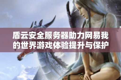 盾云安全服务器助力网易我的世界游戏体验提升与保护