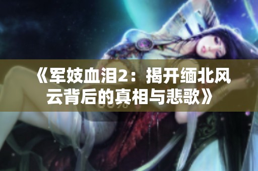 《军妓血泪2：揭开缅北风云背后的真相与悲歌》