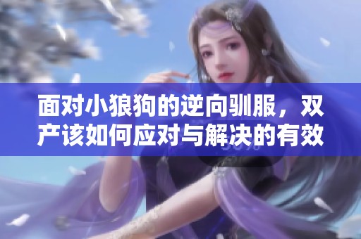 面对小狼狗的逆向驯服，双产该如何应对与解决的有效策略分析