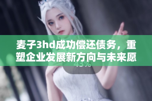 麦子3hd成功偿还债务，重塑企业发展新方向与未来愿景
