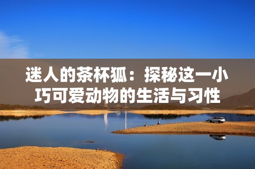 迷人的茶杯狐：探秘这一小巧可爱动物的生活与习性