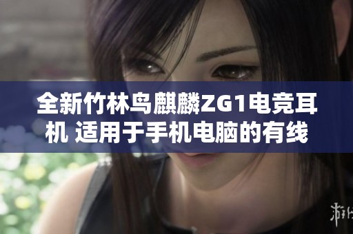 全新竹林鸟麒麟ZG1电竞耳机 适用于手机电脑的有线挂耳款式