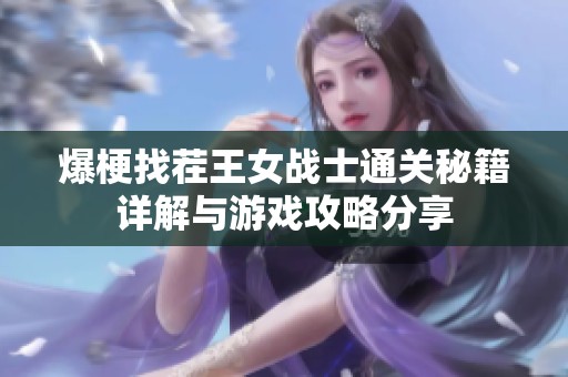 爆梗找茬王女战士通关秘籍详解与游戏攻略分享