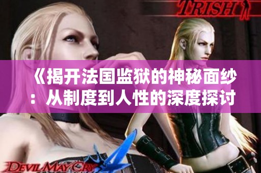 《揭开法国监狱的神秘面纱：从制度到人性的深度探讨》