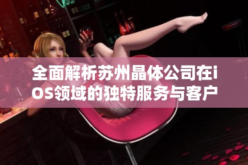 全面解析苏州晶体公司在iOS领域的独特服务与客户体验