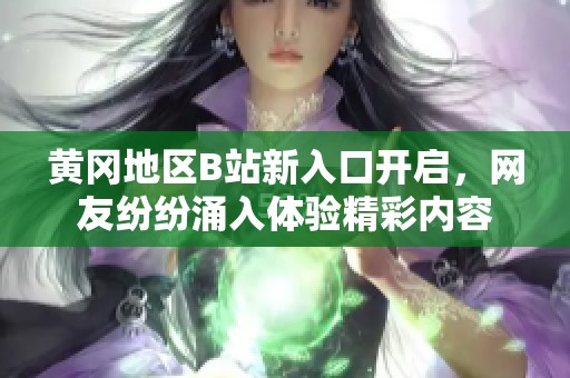 黄冈地区B站新入口开启，网友纷纷涌入体验精彩内容
