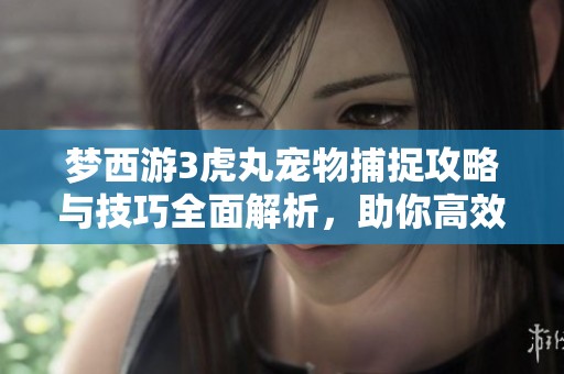 梦西游3虎丸宠物捕捉攻略与技巧全面解析，助你高效获取神宠