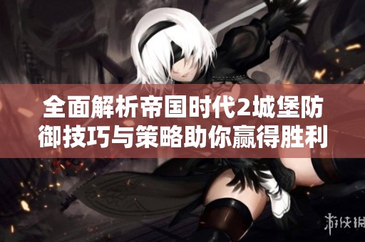 全面解析帝国时代2城堡防御技巧与策略助你赢得胜利
