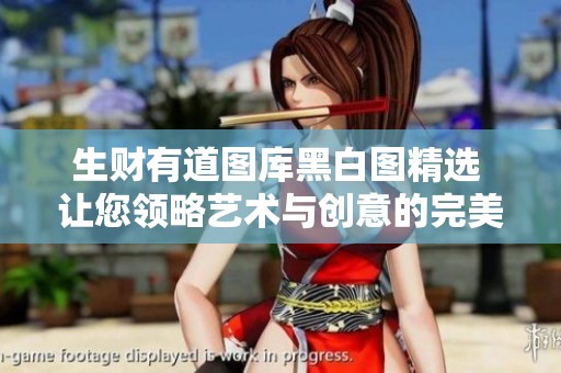 生财有道图库黑白图精选 让您领略艺术与创意的完美结合