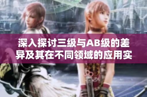 深入探讨三级与AB级的差异及其在不同领域的应用实例