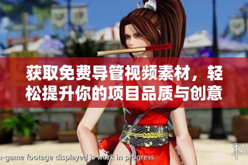 获取免费导管视频素材，轻松提升你的项目品质与创意表现