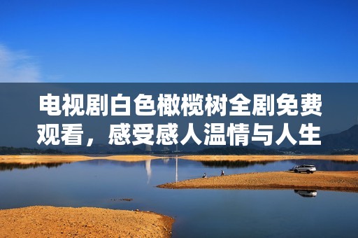 电视剧白色橄榄树全剧免费观看，感受感人温情与人生哲理