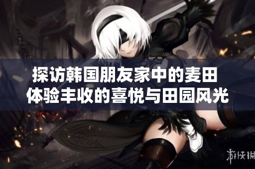 探访韩国朋友家中的麦田 体验丰收的喜悦与田园风光