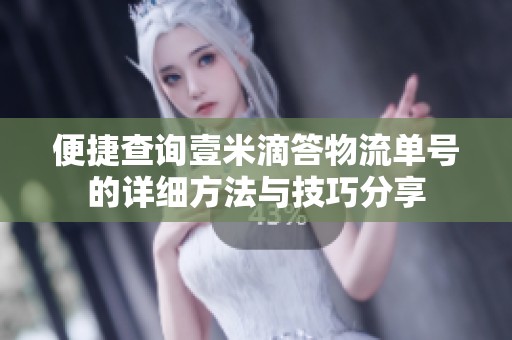 便捷查询壹米滴答物流单号的详细方法与技巧分享